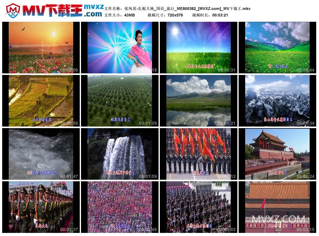 张凤英-扎根大地_国语_流行_ME800382